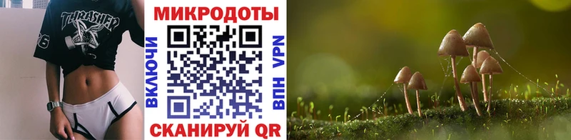 Псилоцибиновые грибы мухоморы Шлиссельбург