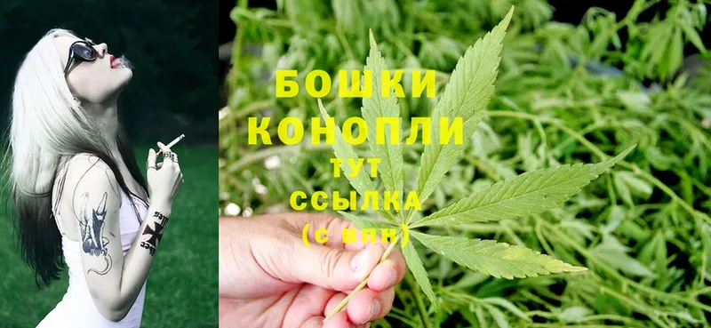 Шишки марихуана White Widow  Шлиссельбург 